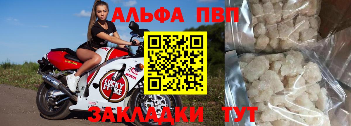 Alpha PVP Соль  Alfa_PVP СК  A PVP СК  как найти   Вход с VPN  Кингисепп 