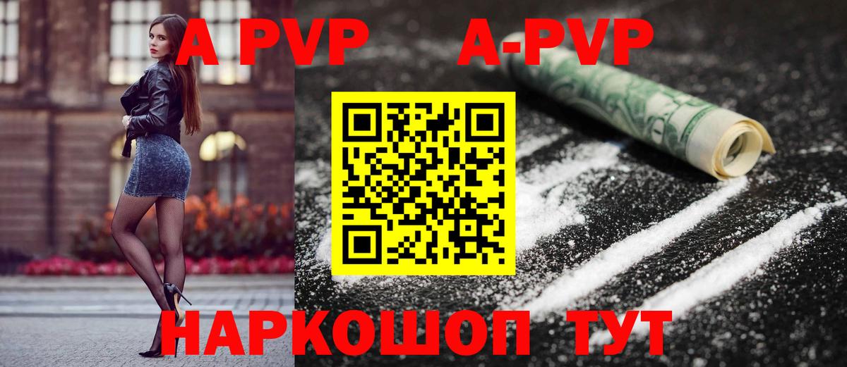 A-PVP СК Кингисепп